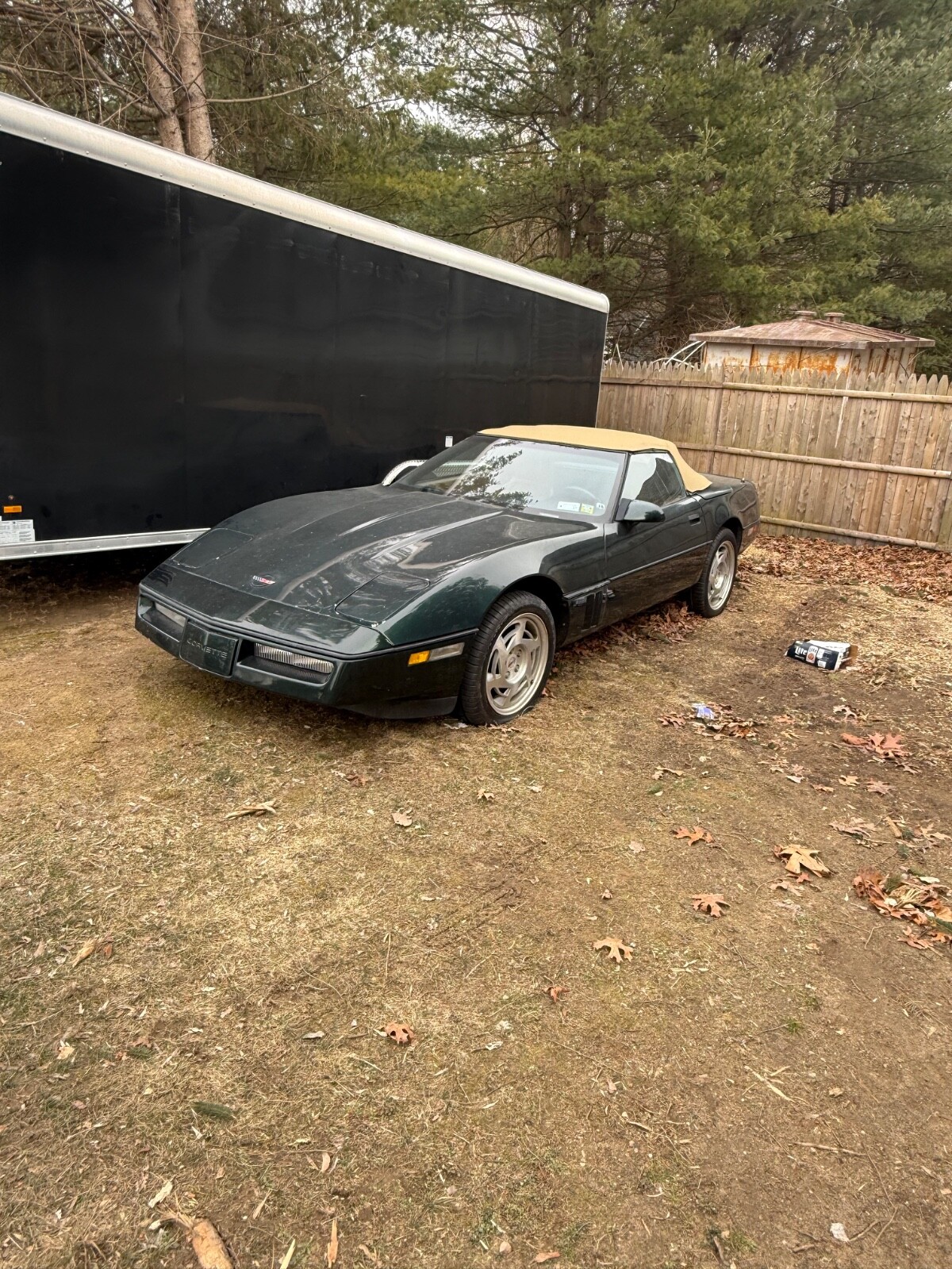 Chevrolet-Corvette-1990-Convertible-8