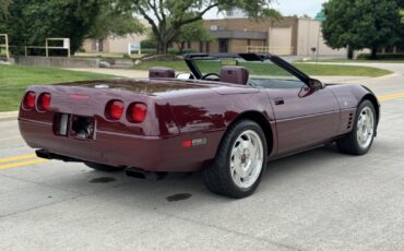 Chevrolet-Corvette-1993-4