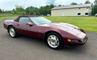 Chevrolet-Corvette-1993-Convertible-24