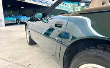 Chevrolet-Corvette-1994-Convertible-11
