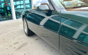 Chevrolet-Corvette-1994-Convertible-15