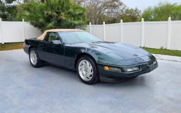 Chevrolet-Corvette-1994-green-17