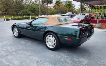 Chevrolet-Corvette-1994-green-21