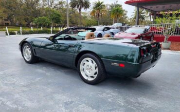 Chevrolet-Corvette-1994-green-5