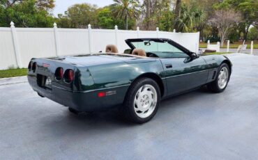 Chevrolet-Corvette-1994-green-7