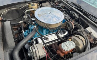 Chevrolet-Corvette-Pace-Car-1978-Coupe-14