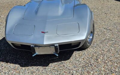 Chevrolet Corvette coupe  1979 silver