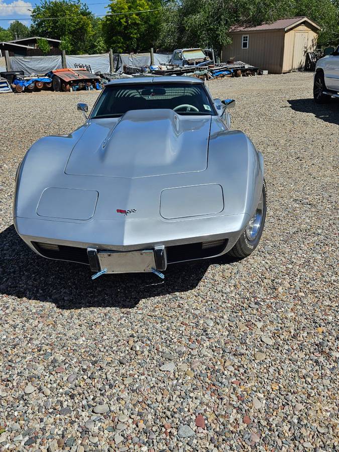 Chevrolet Corvette coupe  1979 silver