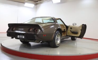 Chevrolet-Corvette-l82-1979-brown-10