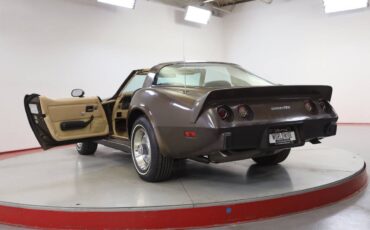 Chevrolet-Corvette-l82-1979-brown-11