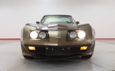 Chevrolet-Corvette-l82-1979-brown-13
