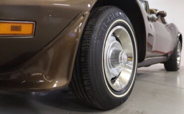 Chevrolet-Corvette-l82-1979-brown-15