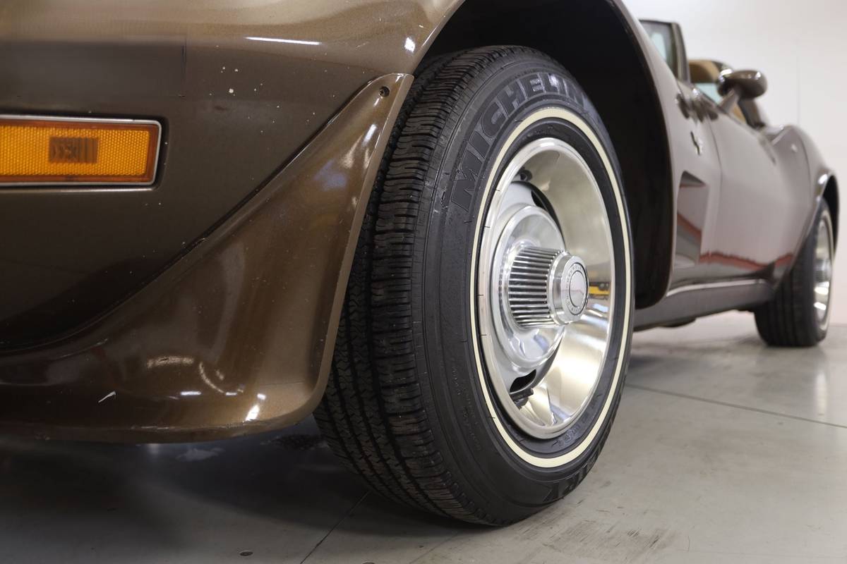 Chevrolet-Corvette-l82-1979-brown-15