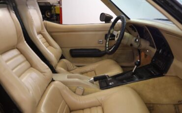 Chevrolet-Corvette-l82-1979-brown-16