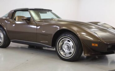 Chevrolet-Corvette-l82-1979-brown-21