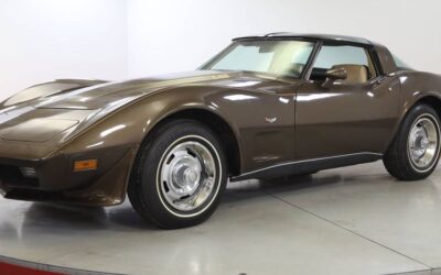 Chevrolet Corvette l82  1979 brown