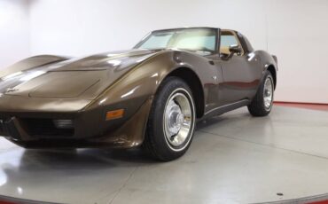 Chevrolet-Corvette-l82-1979-brown-6