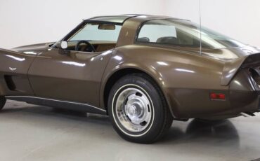 Chevrolet-Corvette-l82-1979-brown-8