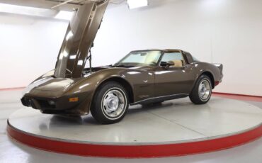 Chevrolet-Corvette-l82-1979-brown-9