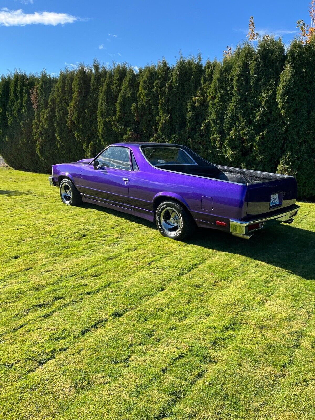 Chevrolet-El-Camino-1978-1
