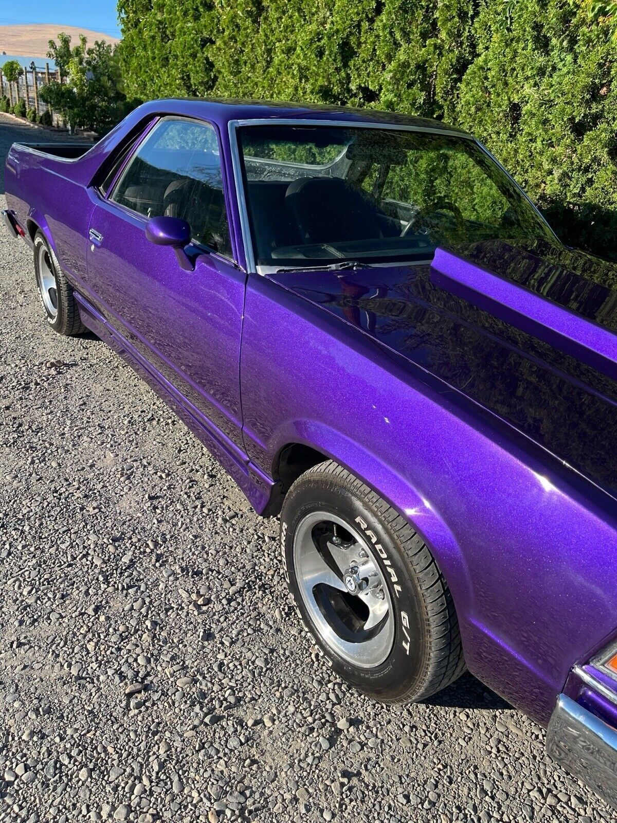 Chevrolet-El-Camino-1978-10