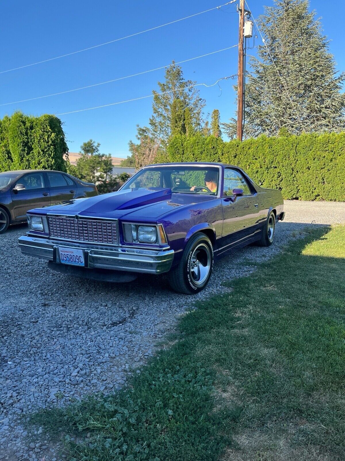 Chevrolet-El-Camino-1978-11