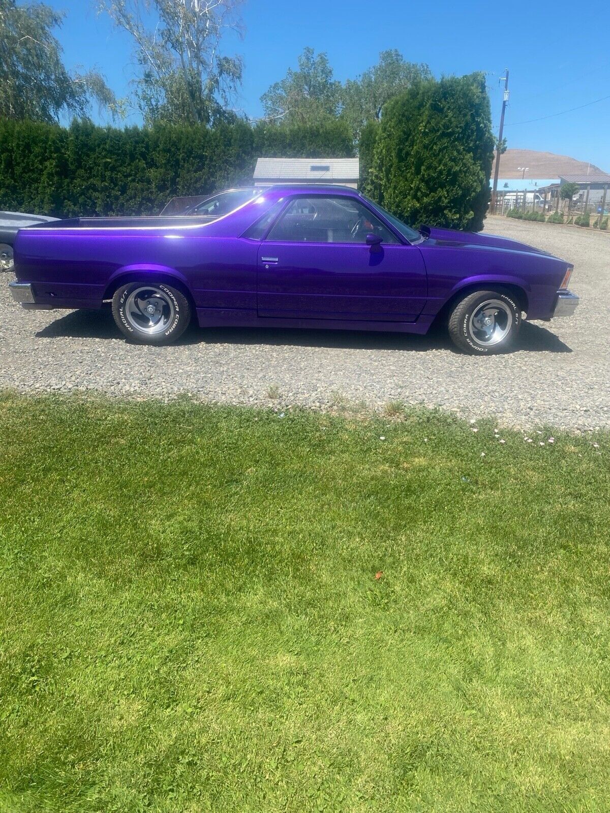 Chevrolet-El-Camino-1978-12