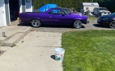 Chevrolet-El-Camino-1978-13