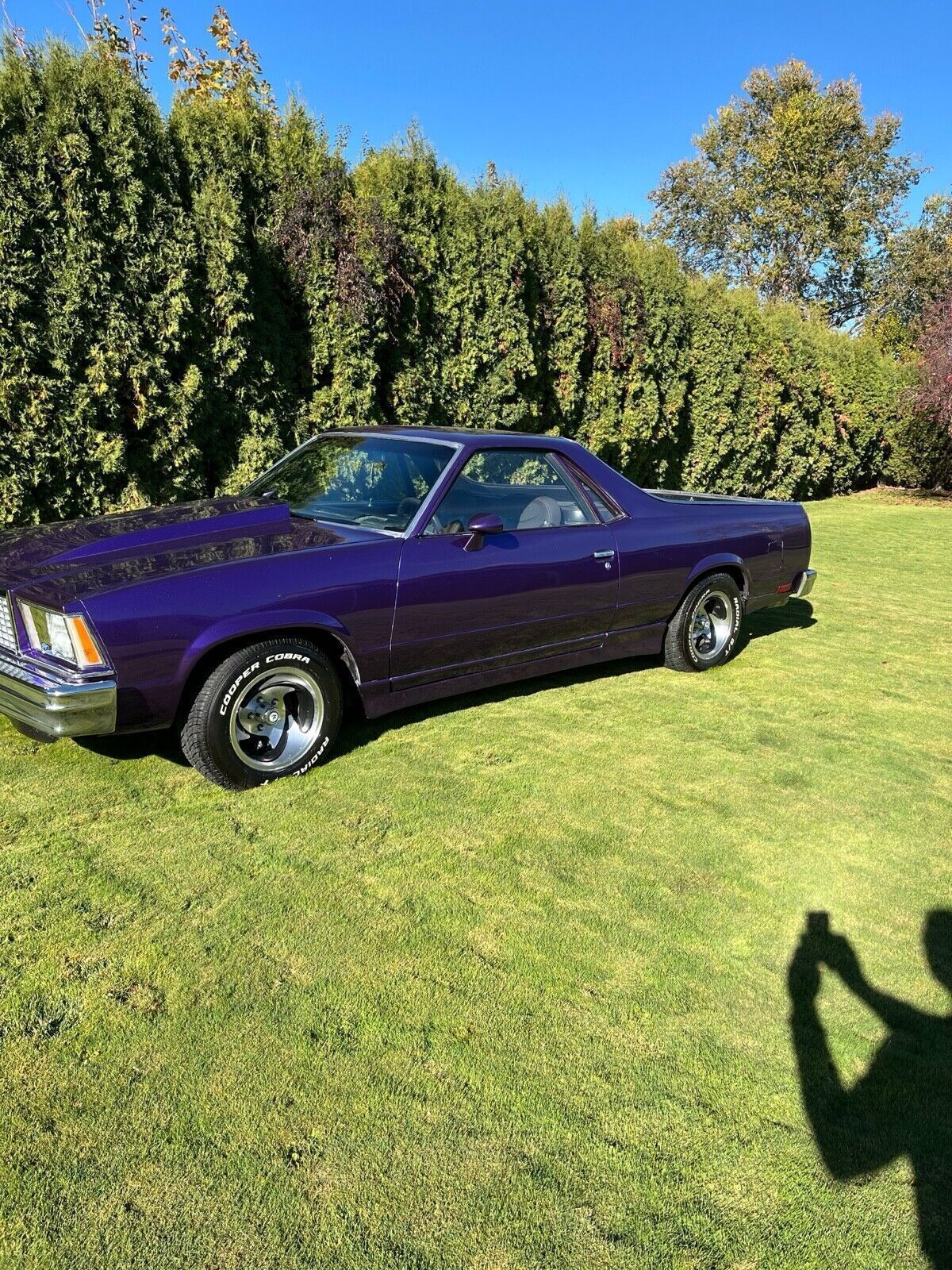 Chevrolet-El-Camino-1978-2