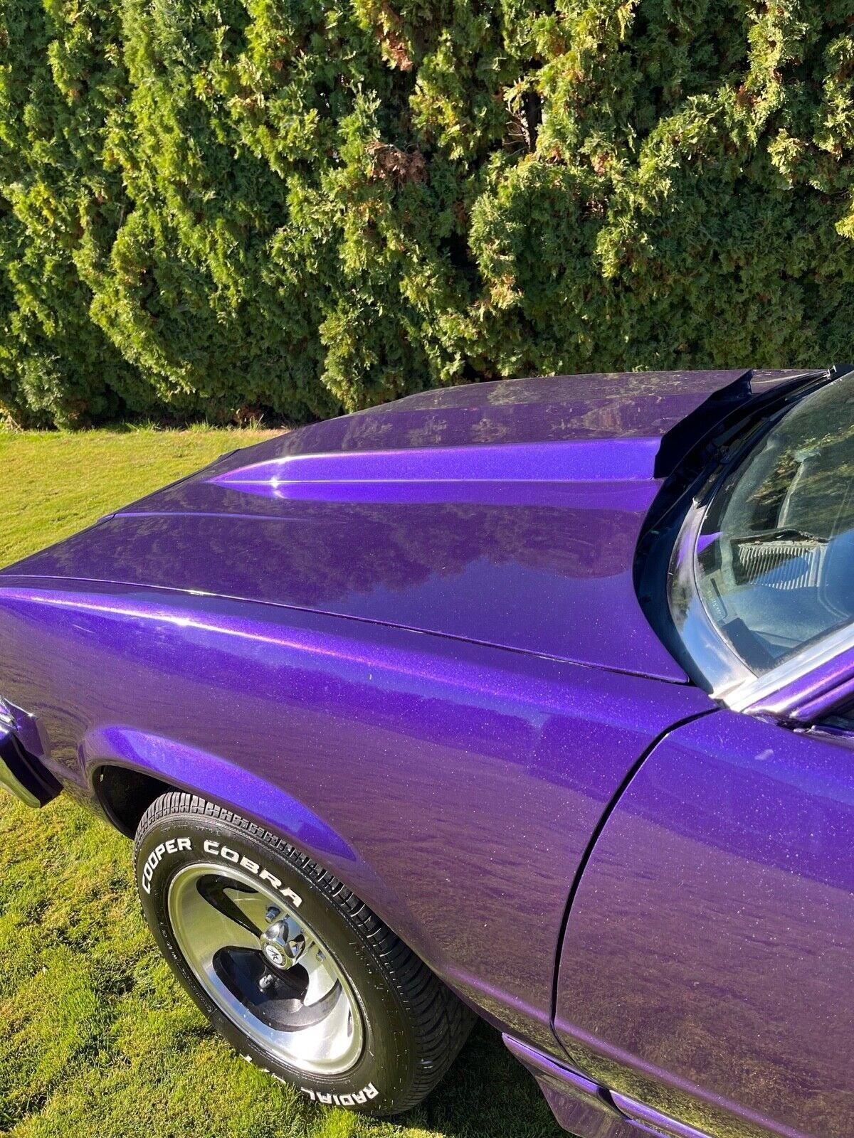 Chevrolet-El-Camino-1978-4