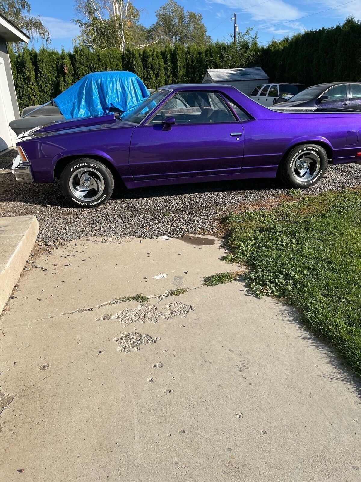 Chevrolet-El-Camino-1978-6