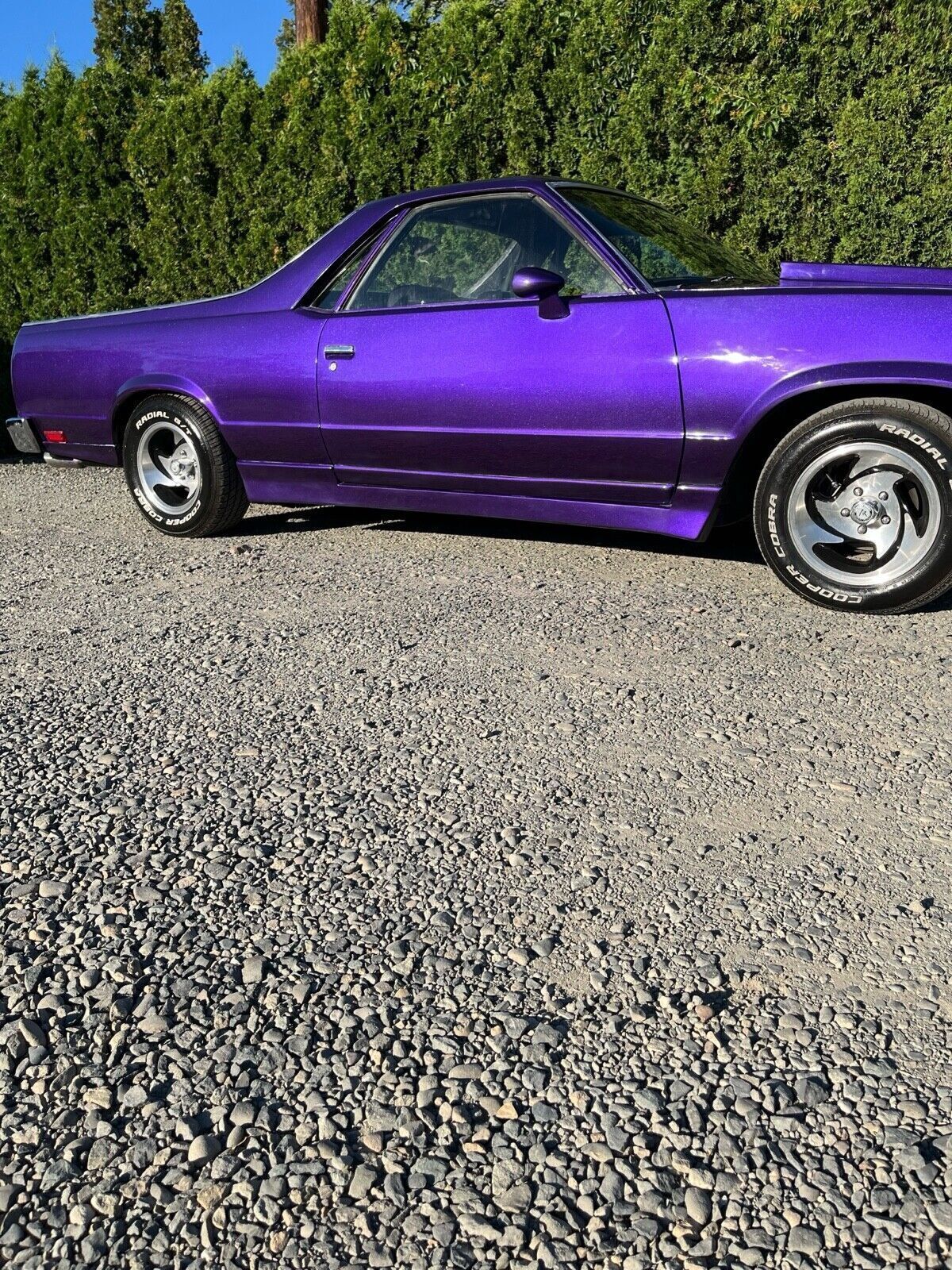Chevrolet-El-Camino-1978-8