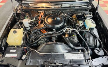 Chevrolet-El-Camino-1984-Pickup-17
