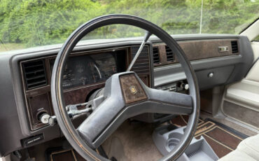 Chevrolet-El-Camino-1984-Pickup-Truck-13