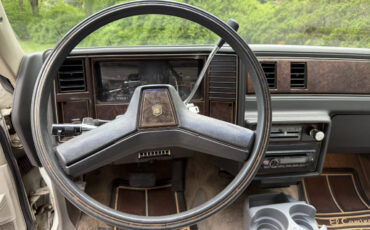 Chevrolet-El-Camino-1984-Pickup-Truck-15