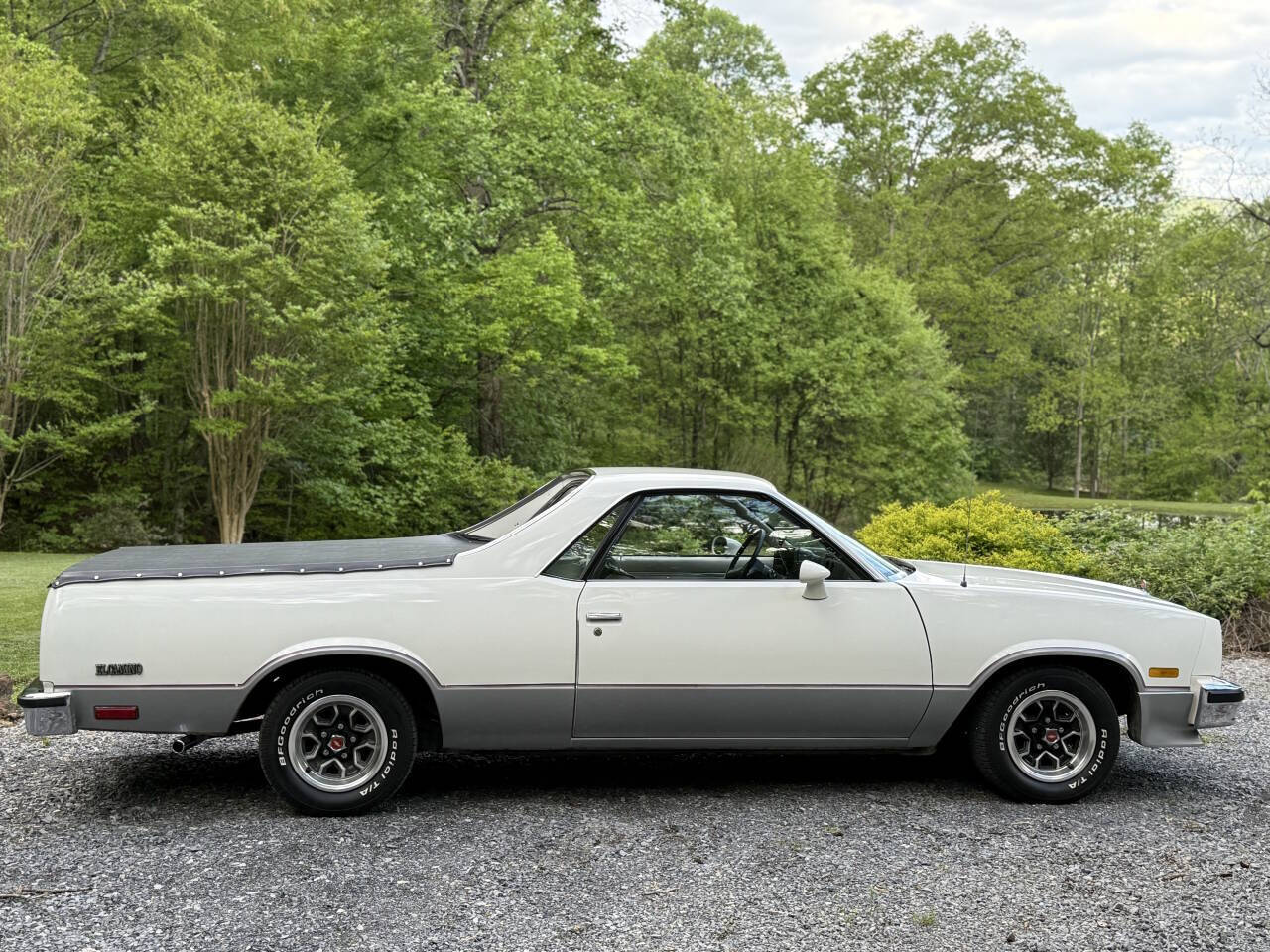 Chevrolet-El-Camino-1984-Pickup-Truck-19