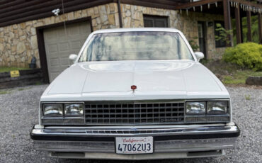 Chevrolet-El-Camino-1984-Pickup-Truck-20