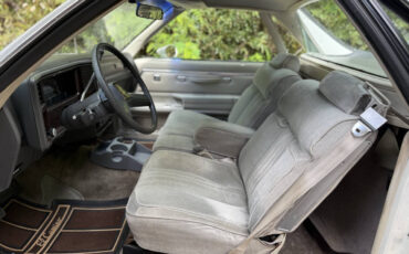 Chevrolet-El-Camino-1984-Pickup-Truck-28