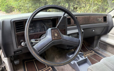 Chevrolet-El-Camino-1984-Pickup-Truck-30