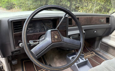 Chevrolet-El-Camino-1984-Pickup-Truck-31