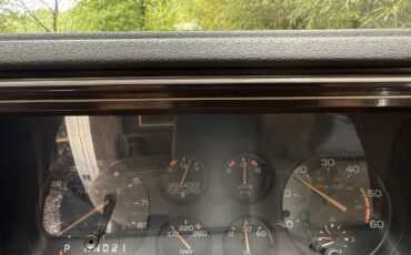 Chevrolet-El-Camino-1984-Pickup-Truck-32
