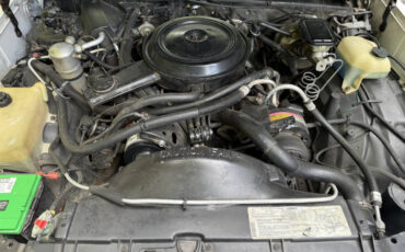 Chevrolet-El-Camino-1984-Pickup-Truck-36