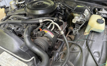 Chevrolet-El-Camino-1984-Pickup-Truck-39