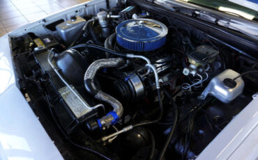 Chevrolet-El-Camino-1984-Truck-29