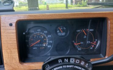 Chevrolet-G20-Van-1994-Standard-Passenger-Van-8