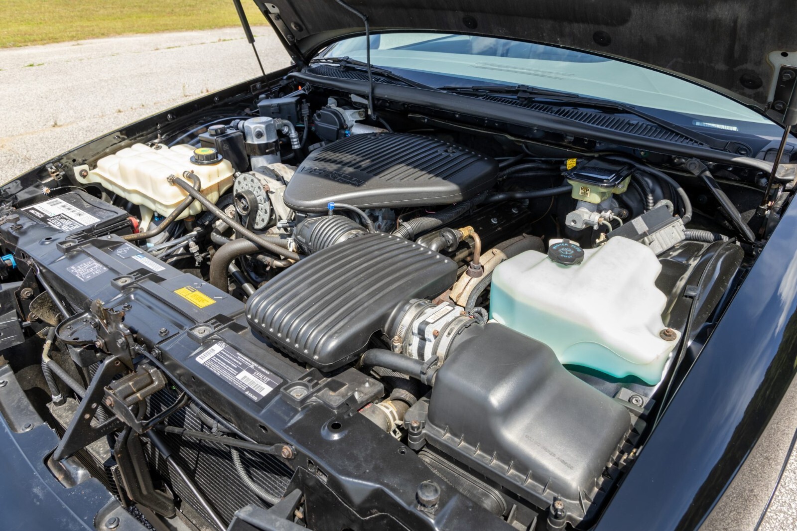 Chevrolet-Impala-1994-Sedan-15