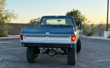 Chevrolet-K10-1979-Standard-Cab-Pickup-8