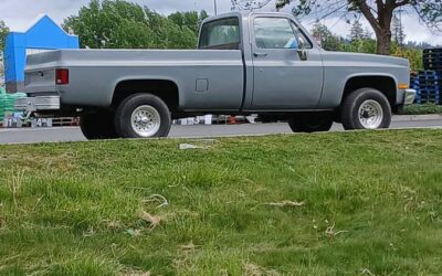 Chevrolet K10  1981 grey