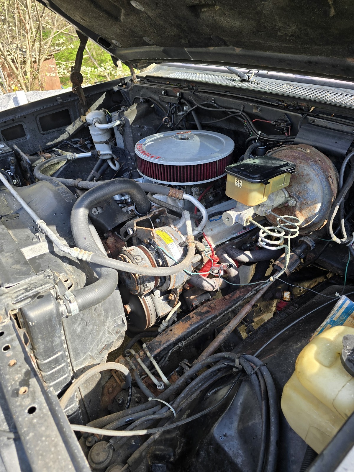 Chevrolet-K10-1984-16