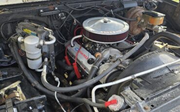 Chevrolet-K10-1984-18
